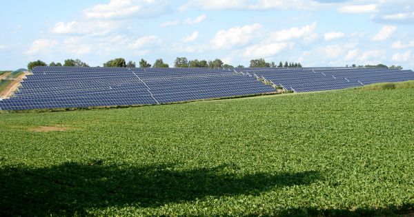 Erste PV-Freilandanlage